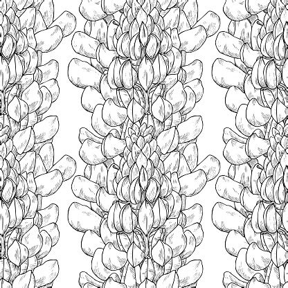 Download - Seamless Pattern Plant In Blossom Branch With Flower Ink Sketch ...